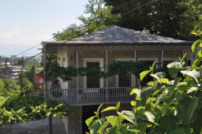 guesthouse anina